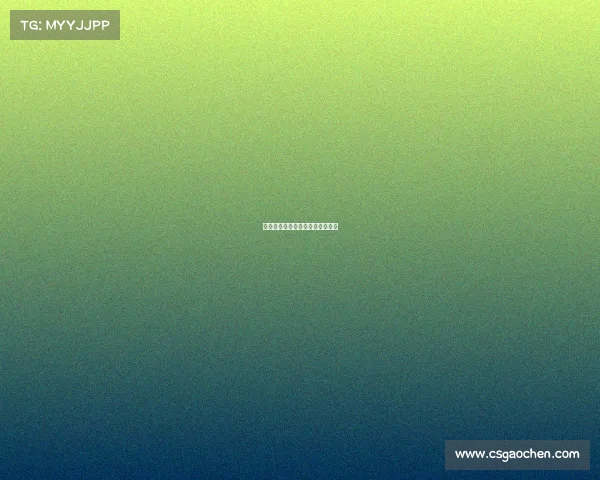 电子竞技宋洁—电子竞技职业战队